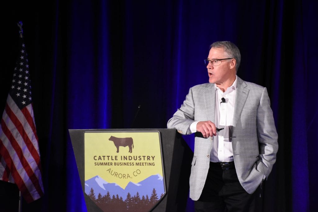 cattle