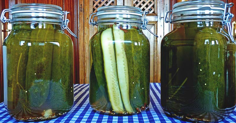fermented