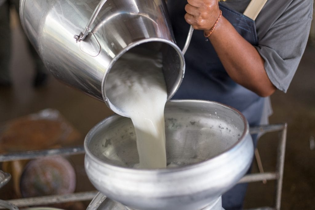 USDA Working to Mitigate the Cost of Milk Dumping