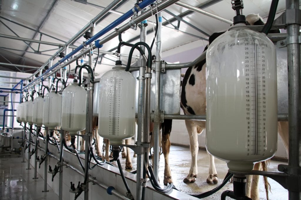 farm bureau milk