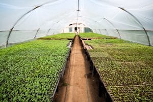 California Organic Institute