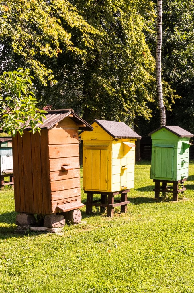 defend