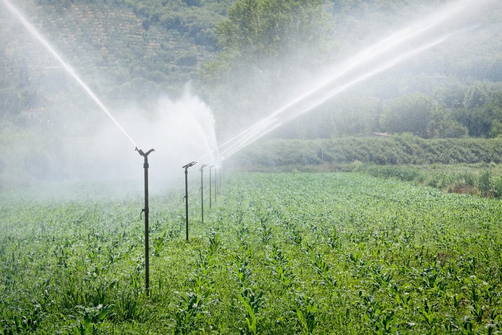 irrigated lands