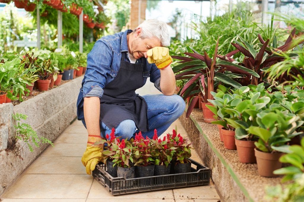 gardening