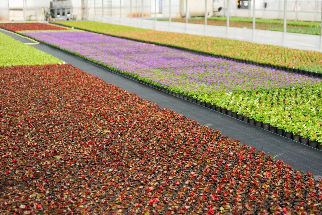 specialty crop farmers