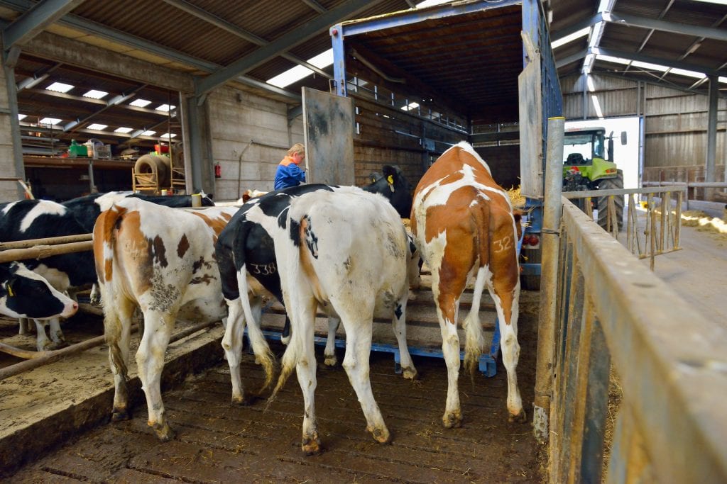 Packers and Stockyards 