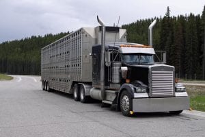 livestock haulers