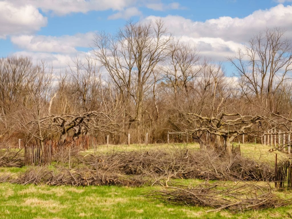 orchard recycling