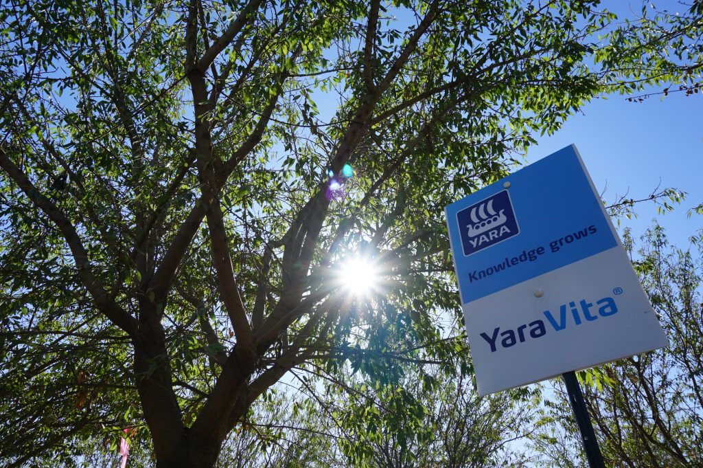 Yara Incubator Farm Vita