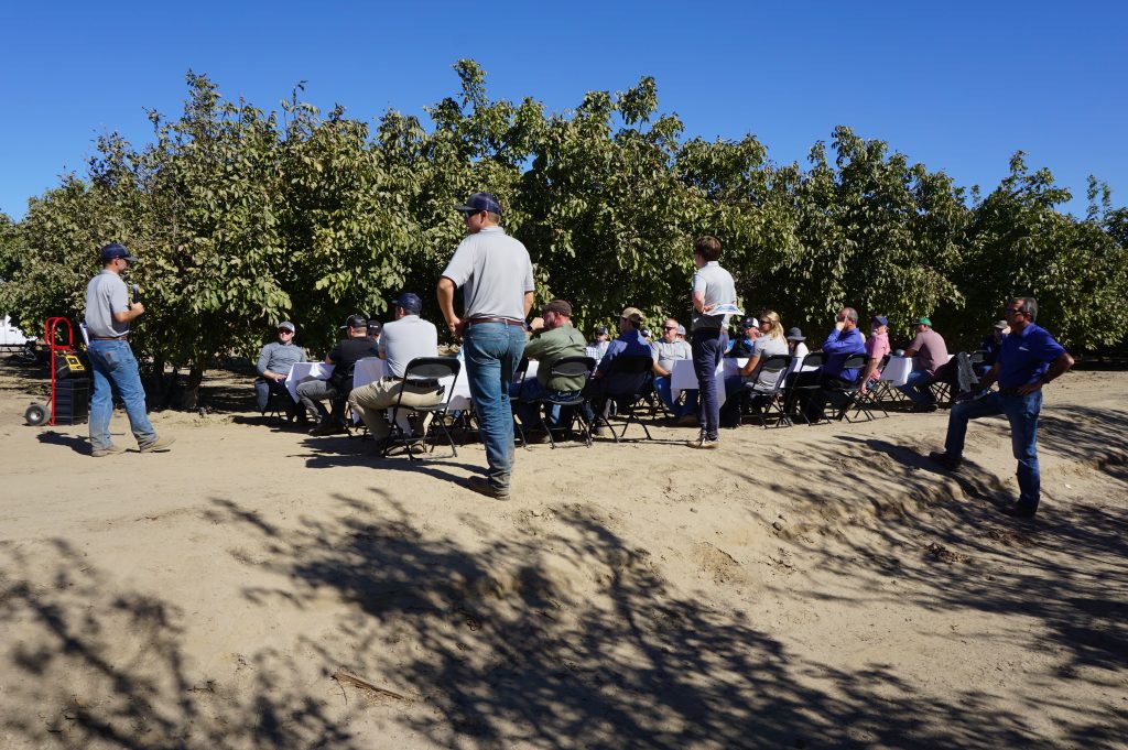 Yara Incubator Farm Discussion