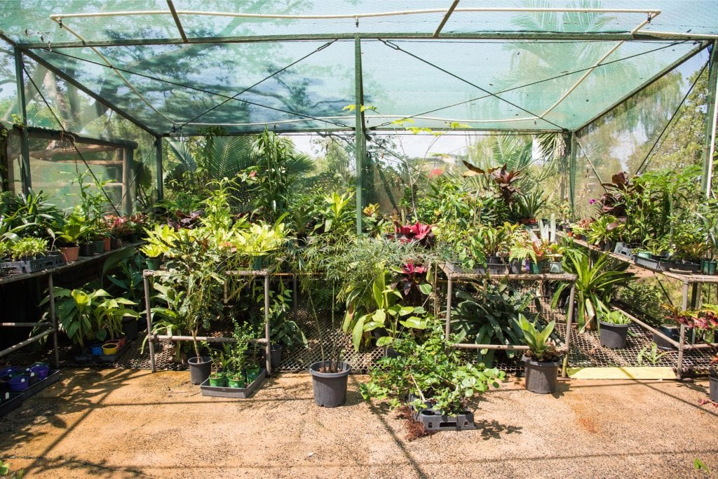 greenhouse space