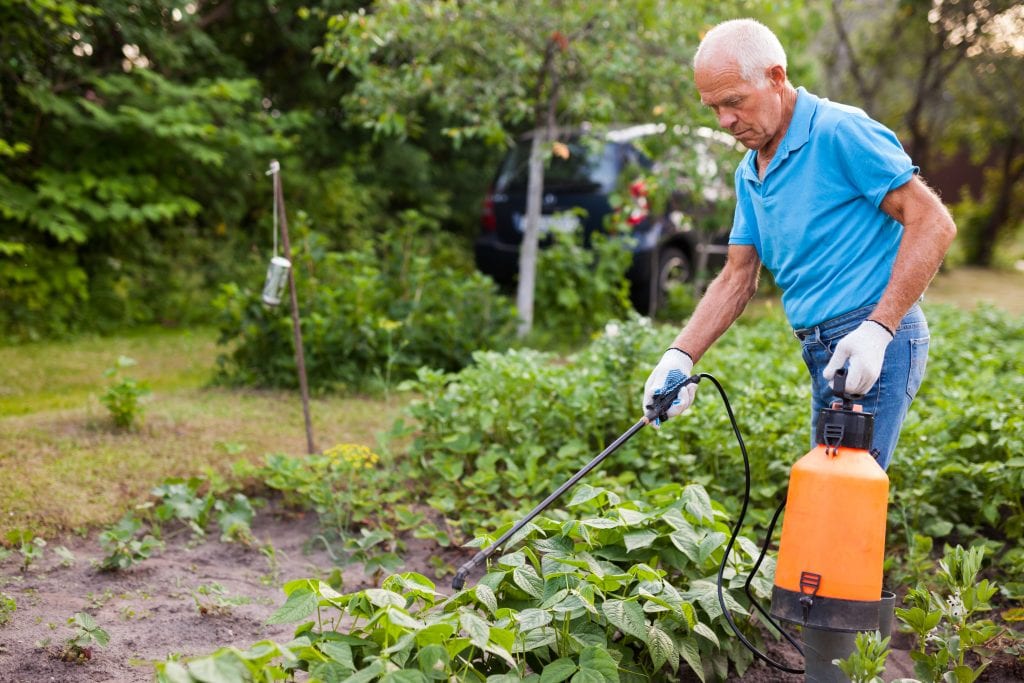 homemade pesticides