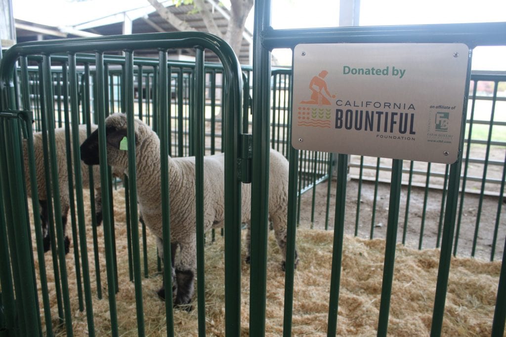 livestock pens
