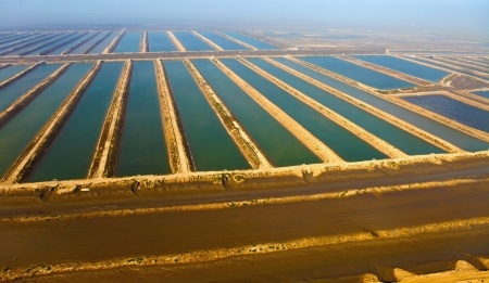 Aquaculture research