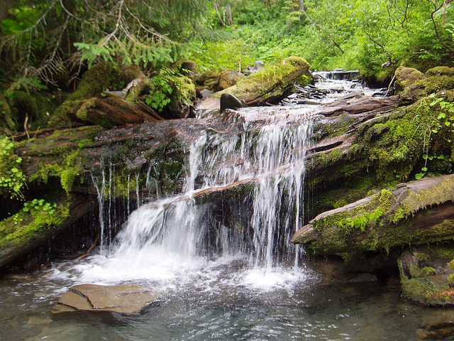 Diminishing snowpack will cause reductions in summer stream flows in the Pacific Northwest. U.S. Forest Service photo.