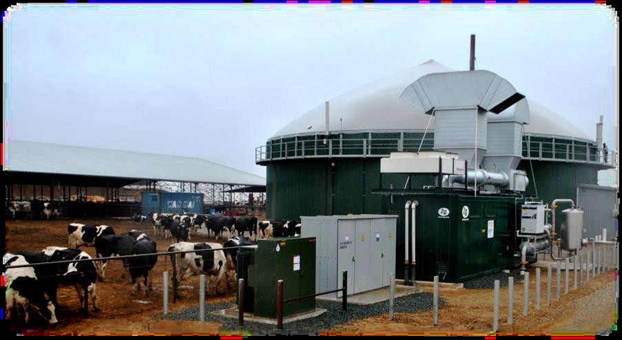 The biogas digester at New Hope Dairy in Galt, Calif. began generating electricity in 2013. The system is capable of generating 450 kilowatts, enough electricity to power about 250 single-family homes.