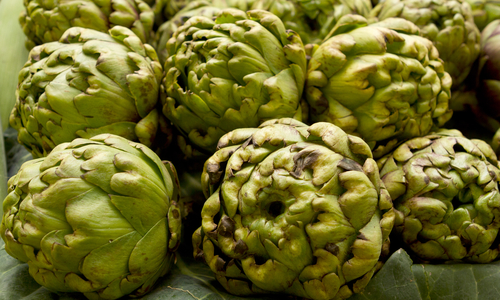 artichoke