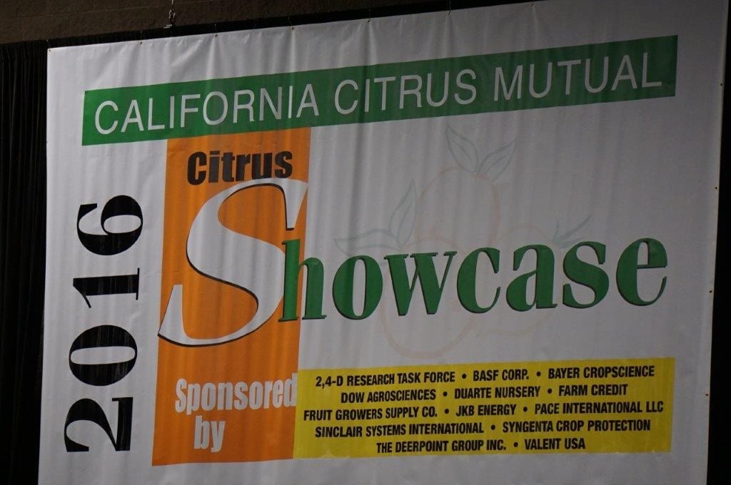 citrus showcase