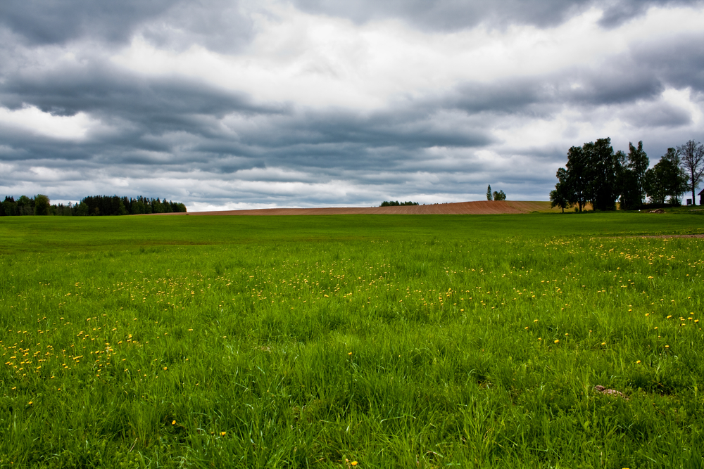 conservation grasslands