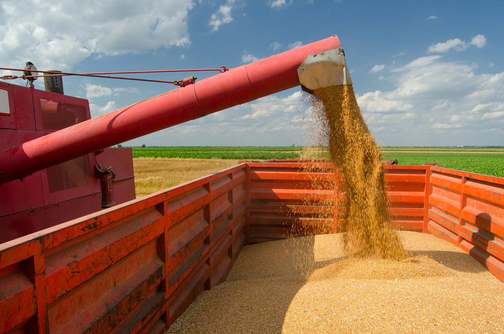 Black Sea Grain Deal