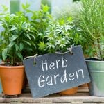 herb gardens