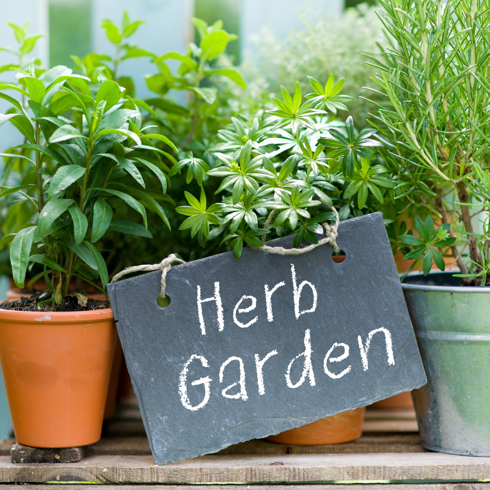 herb gardens