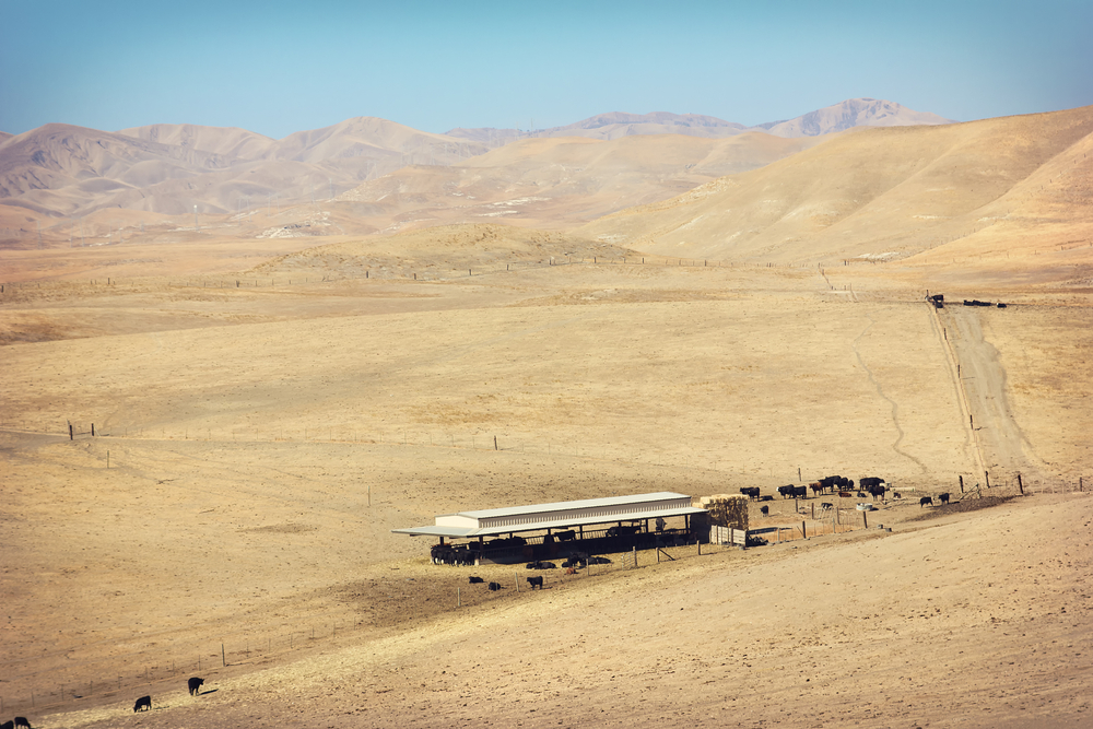 drought leaves the grass dry and brown out in a farm field in central California