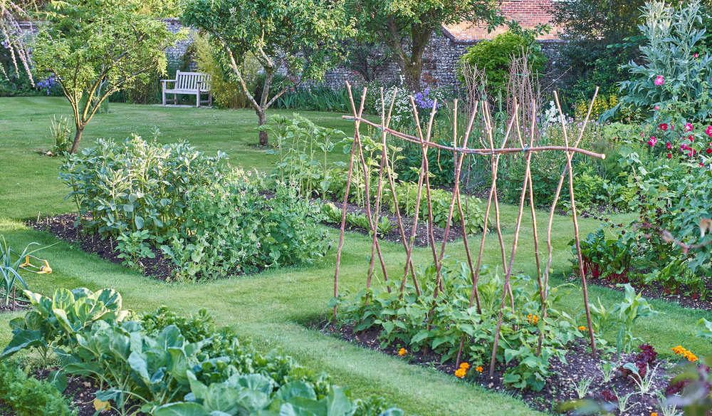 Converting Your Lawn To A Garden | AgNet West