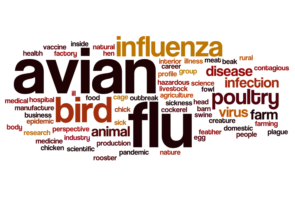 avian flu iowa