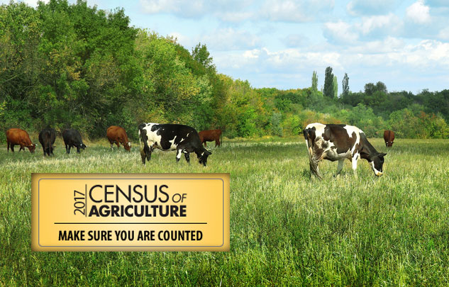 census