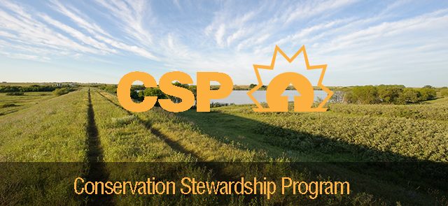 conservation stewardship