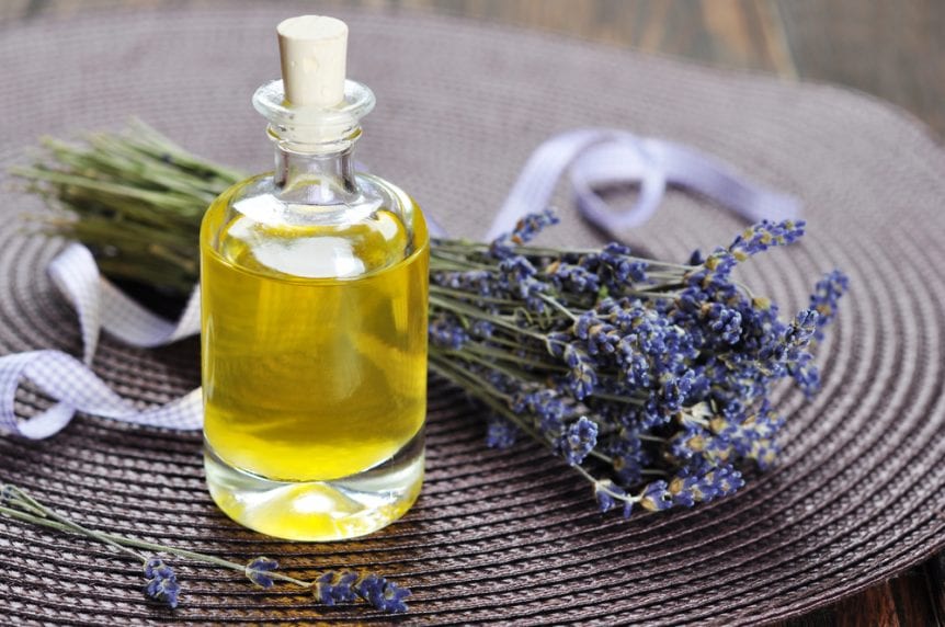 lavender oil