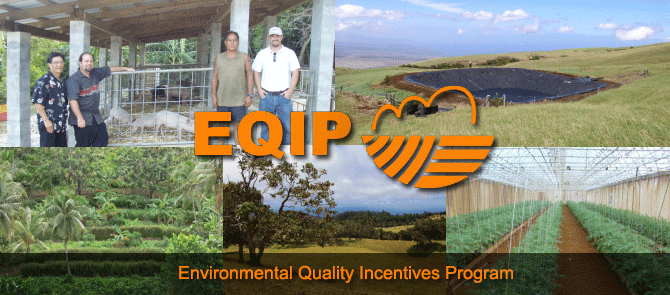 NRCS Streamlining EQIP Applications for Fire Recovery | AgNet West