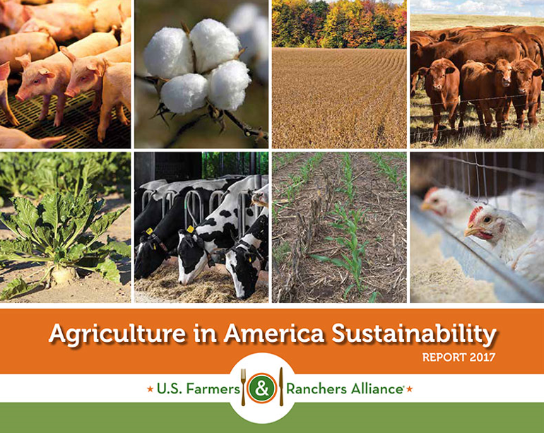 America Sustainability Report