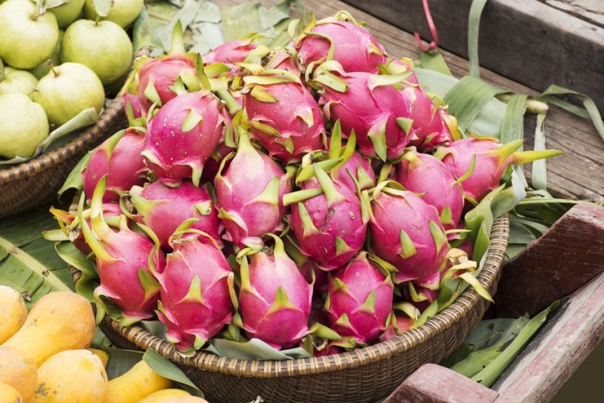 pitahaya