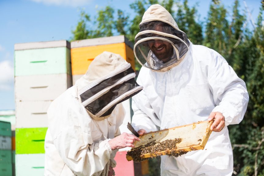 U.S. beekeepers