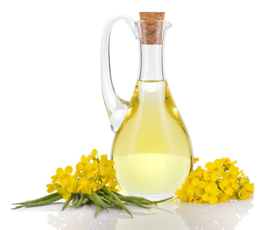 canola oil