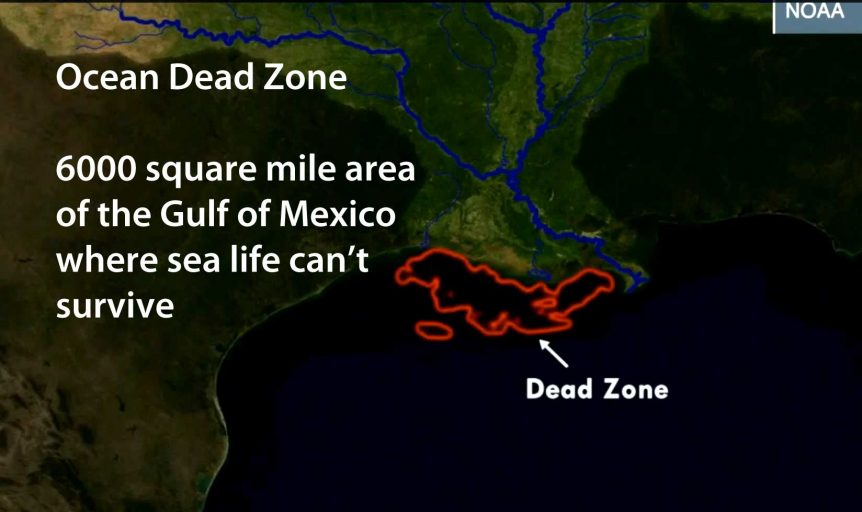 dead zone