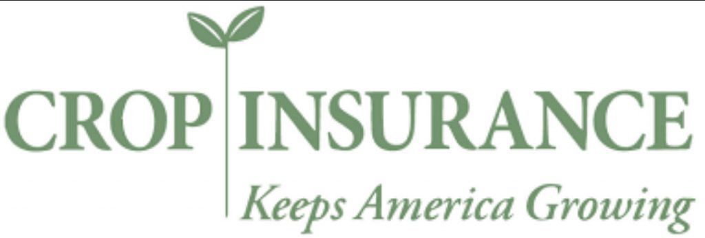 Featured image for “USDA Expands Crop Insurance Options for Organic Stone Fruit Growers”