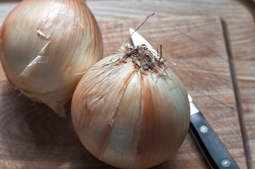 vidalia onion