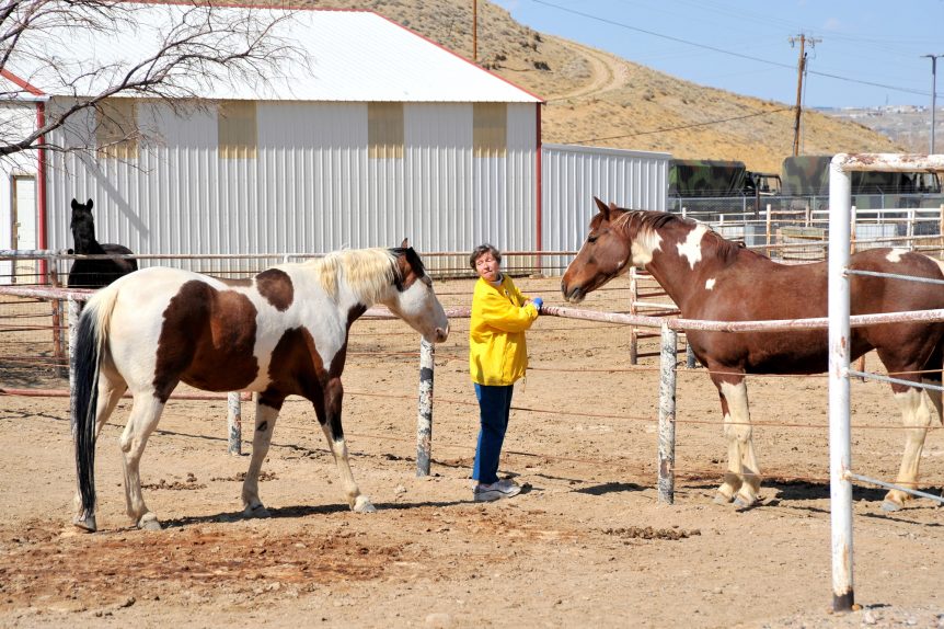 Women Ranchers