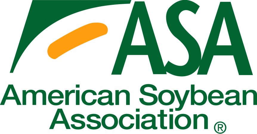 american soybean