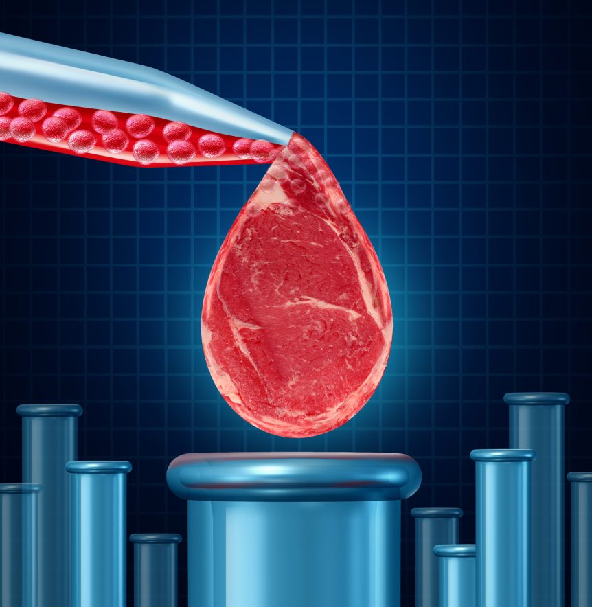lab-grown meat