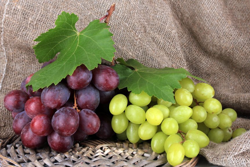 California table grapes