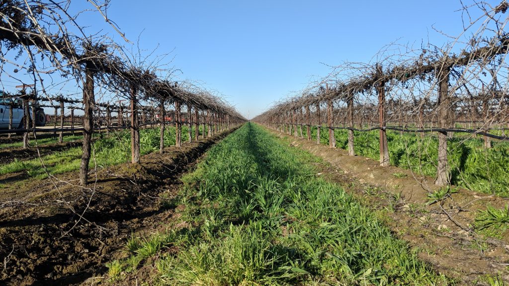 burning restrictions