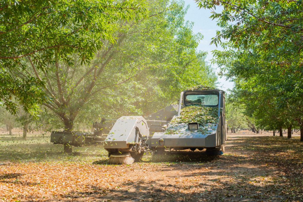 Almond Industry Gatherings Prove to Be Insightful