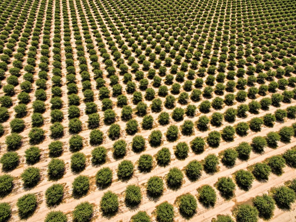 Specialty Crop Block Grant