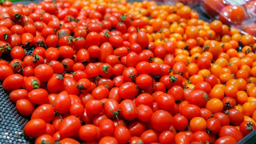 Tomato Suspension Agreement