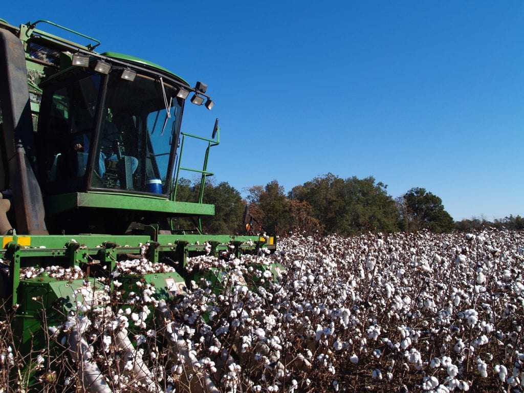 U.S. Cotton Trust Protocol 