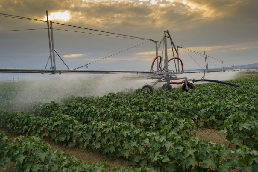 endangered species act